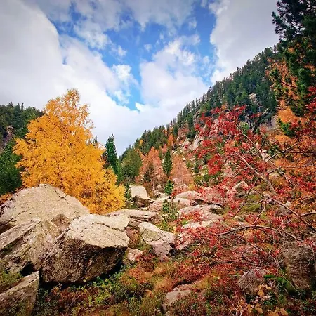 6 Pers Au Cœur Des Montagnes Pyrénéennes Linge De Maison Et Papier Toilette Non Fournis