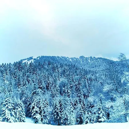 6 Pers Au Coeur Des Montagnes Pyreneennes Linge De Maison Et Papier Toilette Non Fournis Apartament *