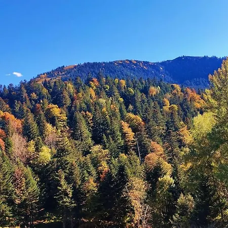 6 Pers Au Cœur Des Montagnes Pyrénéennes Linge De Maison Et Papier Toilette Non Fournis Appartamento Boutx