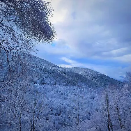 6 Pers Au Cœur Des Montagnes Pyrénéennes Linge De Maison Et Papier Toilette Non Fournis Appartamento Boutx