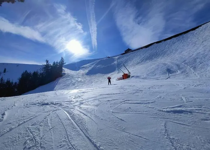 6 Pers Au Cœur Des Montagnes Pyrénéennes Linge De Maison Et Papier Toilette Non Fournis Appartamento *