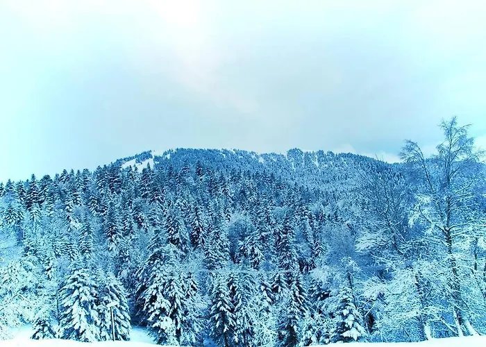 6 Pers Au Cœur Des Montagnes Pyrénéennes Linge De Maison Et Papier Toilette Non Fournis Appartamento *