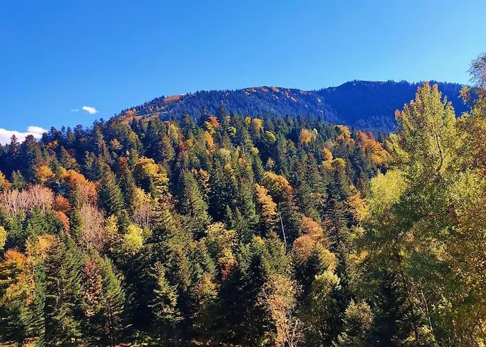 6 Pers Au Cœur Des Montagnes Pyrénéennes Linge De Maison Et Papier Toilette Non Fournis Appartamento Boutx