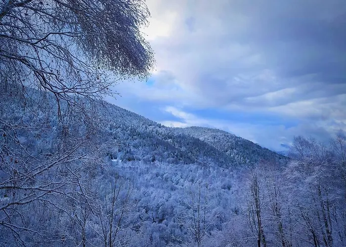 6 Pers Au Cœur Des Montagnes Pyrénéennes Linge De Maison Et Papier Toilette Non Fournis Appartamento Boutx
