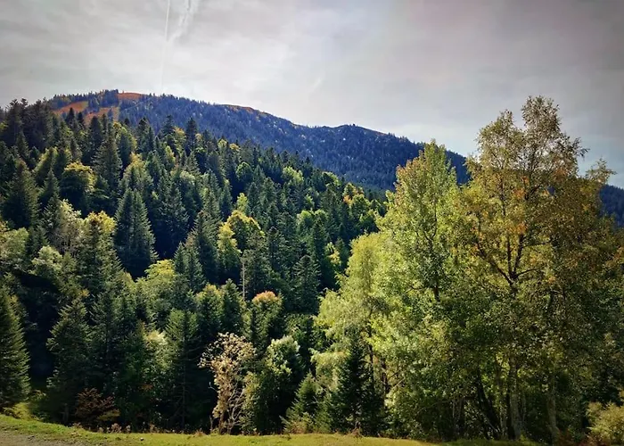 Appartamento 6 Pers Au Cœur Des Montagnes Pyrénéennes Linge De Maison Et Papier Toilette Non Fournis