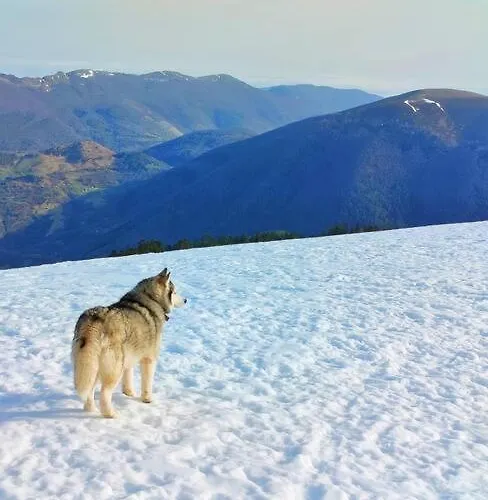 6 Pers Au Cœur Des Montagnes Pyrénéennes Linge De Maison Et Papier Toilette Non Fournis Appartamento Boutx
